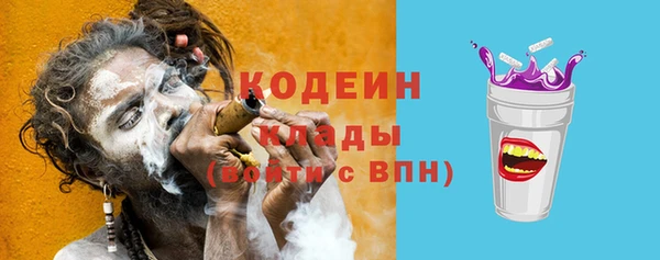 индика Апатиты