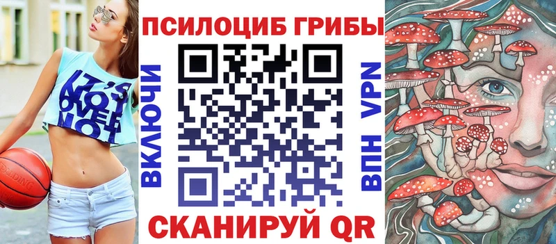 Псилоцибиновые грибы Cubensis  даркнет телеграм  Калязин 