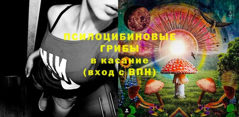 Галлюциногенные грибы MAGIC MUSHROOMS  где можно купить   Калязин 